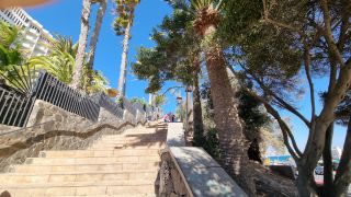2024-01-Paseo_Costa_Canaria-San_Agustin-Ingles-197.jpg